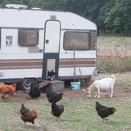 Apartamento Ein Hauch Von Orient