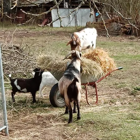 Ein Hauch Von Orient * Eggesin