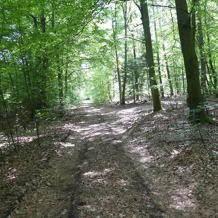 Ein Hauch Von Orient * Eggesin