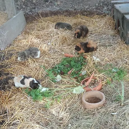 Apartamento Ein Hauch Von Orient