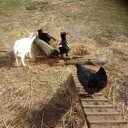 Ein Hauch Von Orient Apartamento