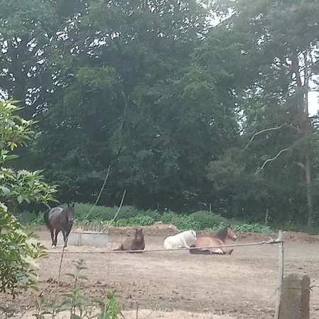 Apartamento Ein Hauch Von Orient